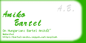 aniko bartel business card